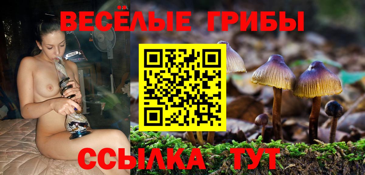 Псилоцибиновые грибы MAGIC MUSHROOMS Апатиты