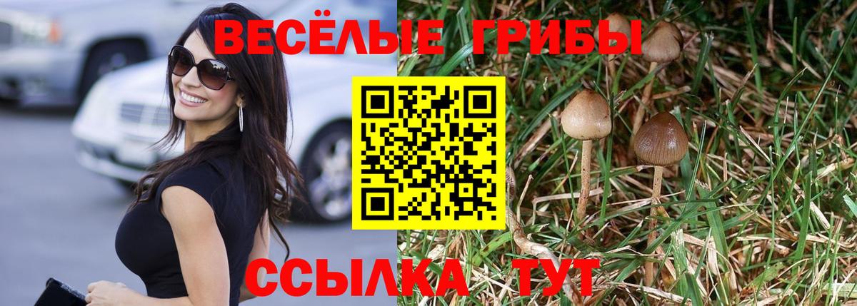 Галлюциногенные грибы мицелий  Псилоцибиновые грибы Magic Shrooms  Апатиты  Вход с VPN 